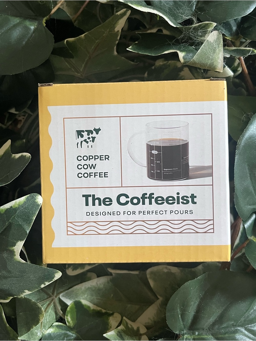 Copper Cow Coffee The Coffeeist Glass Coffee Cup - Picture 7 of 11